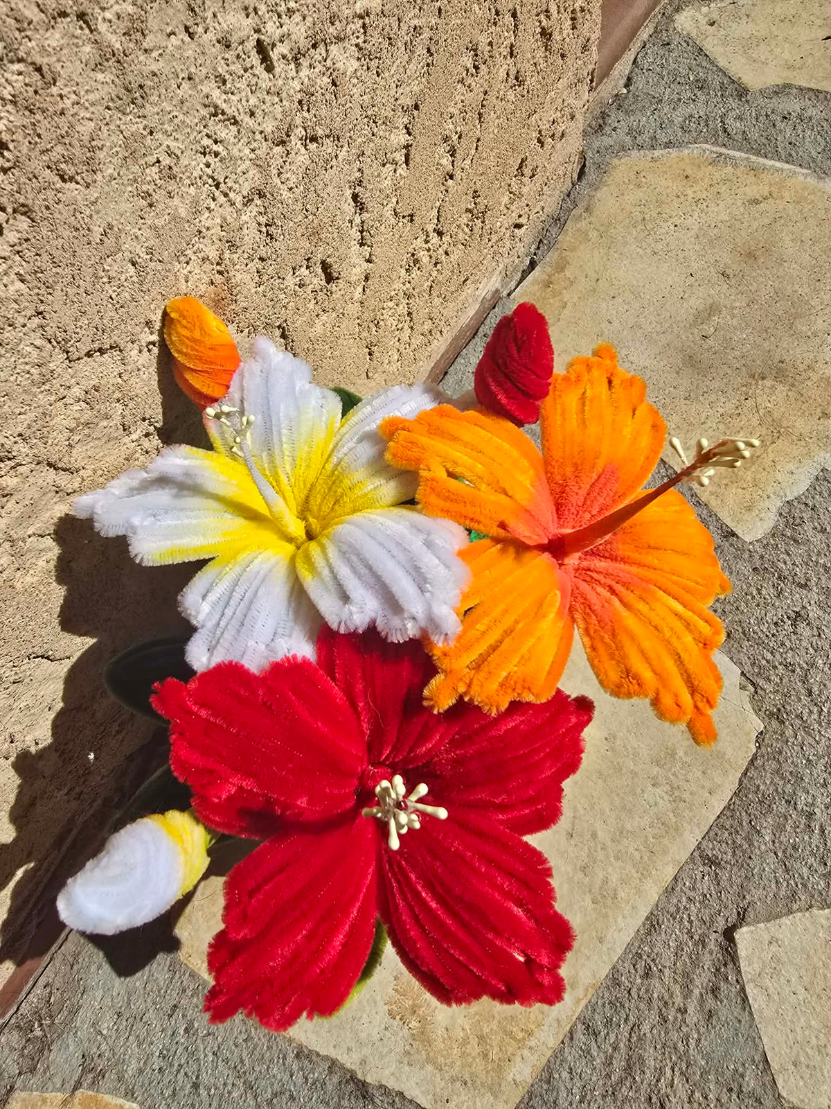 trio hibiscus