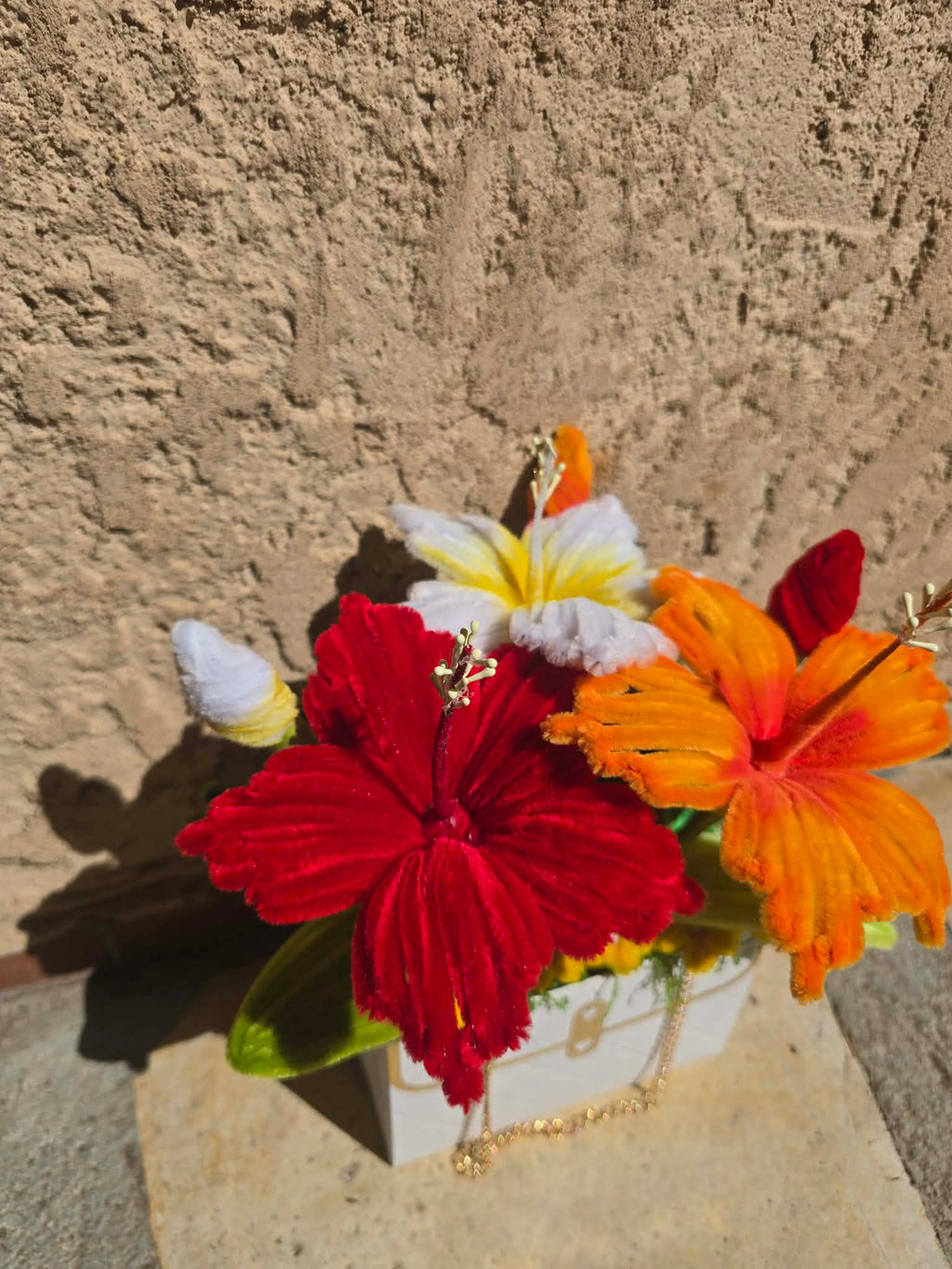 trio hibiscus